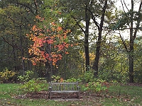 Rutger's Gardens 002.jpg